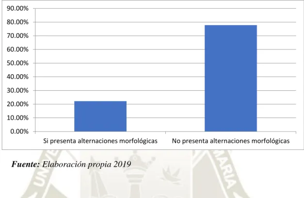 GRÁFICO Nº 3 