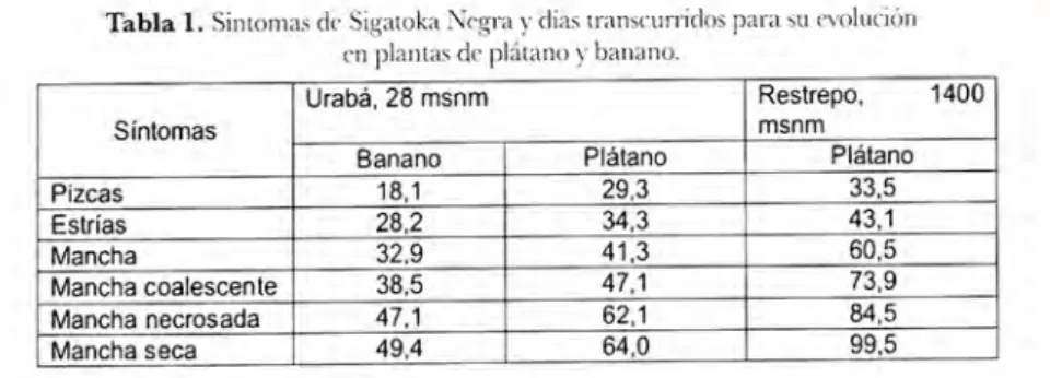 Tabla 1.  Sinlolllas de Sig:uoka  Negra  y  días  lranscurridos para su evolución  en plan las de plálano )'  banano