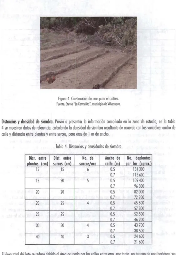 Tabla  4.  Distollcios  y densidades de sie mbro 