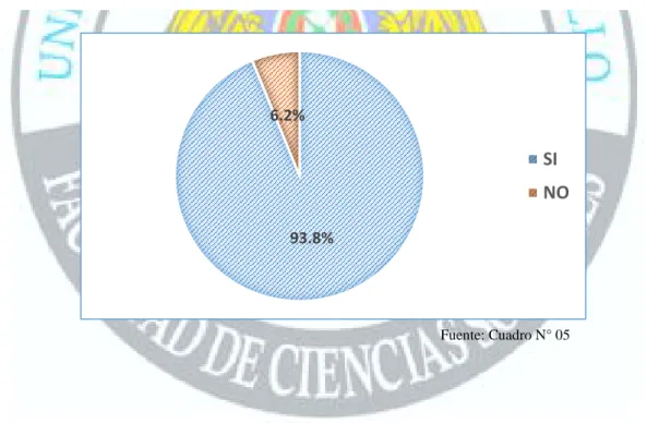 GRÁFICO N° 05 