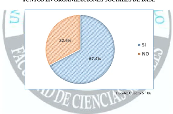 GRÁFICO N° 06 