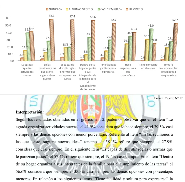 GRÁFICO N° 12 