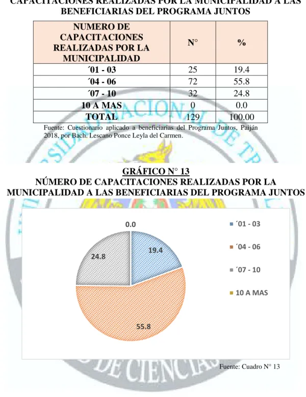 GRÁFICO N° 13 