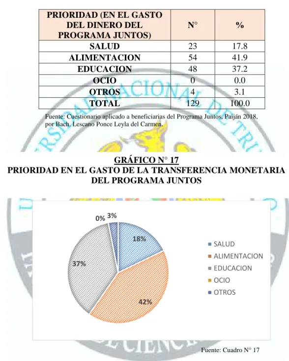 GRÁFICO N° 17 