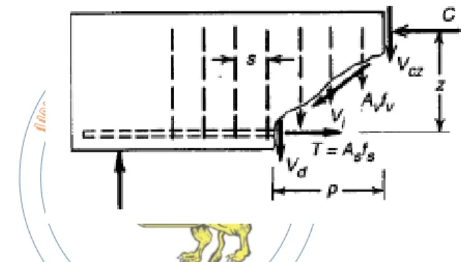 Fig. 2.12. Fuerzas en una grieta diagonal de una viga con estribos verticales. (Nilson, 1999) 