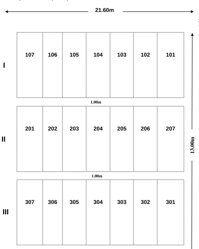 Fig. 01. Detalle del campo experimental 