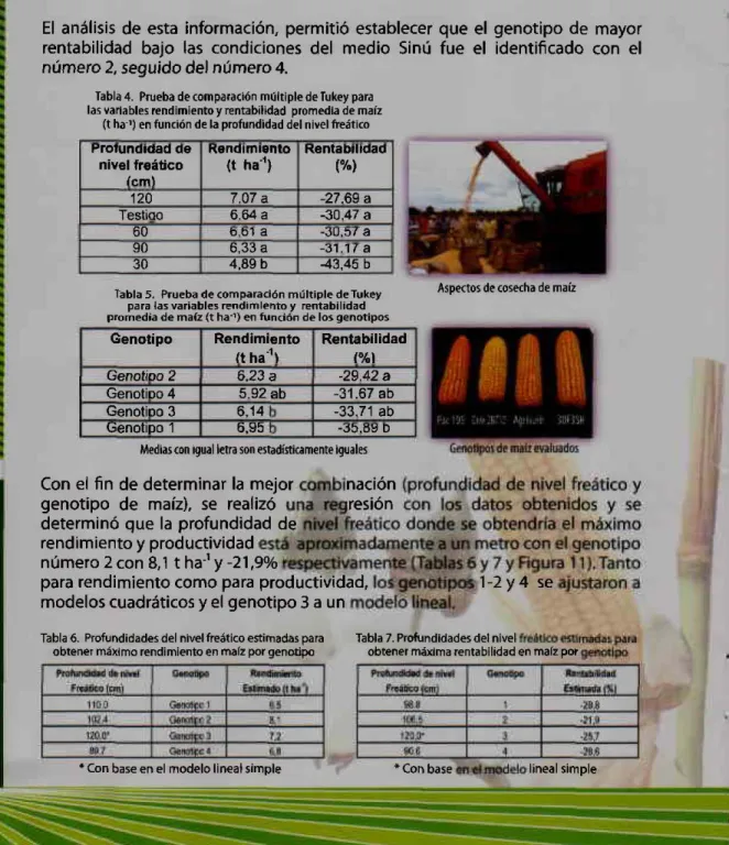 Tabla 4.  Prueba de comparación múltiple de Tukey para  las varia bies rendimiento  y  rentabilidad  promedia de maíz 