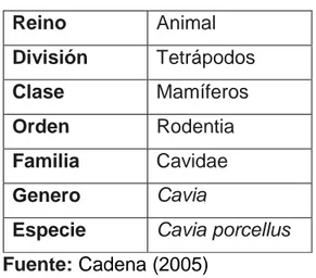 Cuadro N° 01: Clasificación taxonómica  Reino  Animal  División  Tetrápodos  Clase  Mamíferos  Orden  Rodentia  Familia  Cavidae  Genero  Cavia 