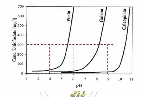 Figura 2: Curvas de contacto en función de concentración de colector y pH.  Fuente: Sutulov, A
