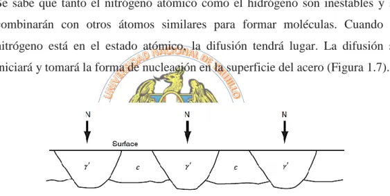 Fig. 1. 7: Formación de la capa compuesta o capa blanca (Totten, 2006) 