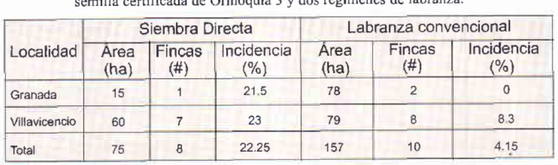 Tabla L  Incidencia de la &#34;Pudlición radicular&#34; en cultivos de los Llanos Orientales con semilla certificada de Orinoquia 3 y dos tegimenes de labranza.