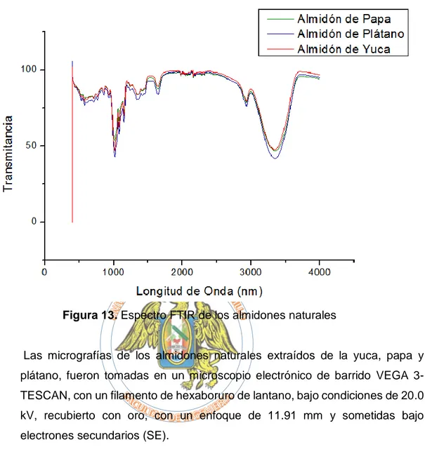 Figura 13. Espectro FTIR de los almidones naturales  