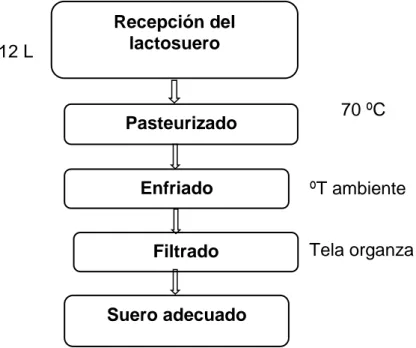 Figura 4. Diagrama de flujo para el pre tratamiento del lactosuero   Descripción del proceso  