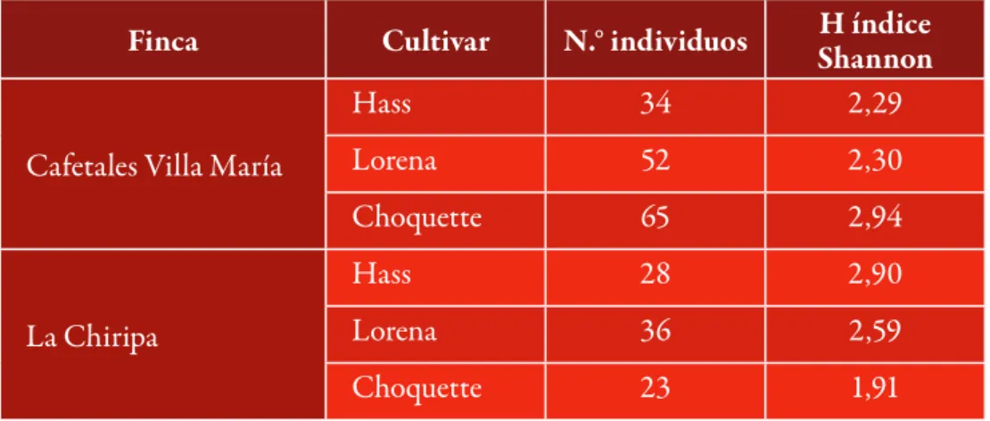 Tabla 1. Índice de diversidad de insectos potencialmente benéficos en tres fincas de aguacate,  para los cultivares Hass, Lorena y Choquette en Fresno y Herveo, Tolima, Colombia, agosto  2012-febrero 2013