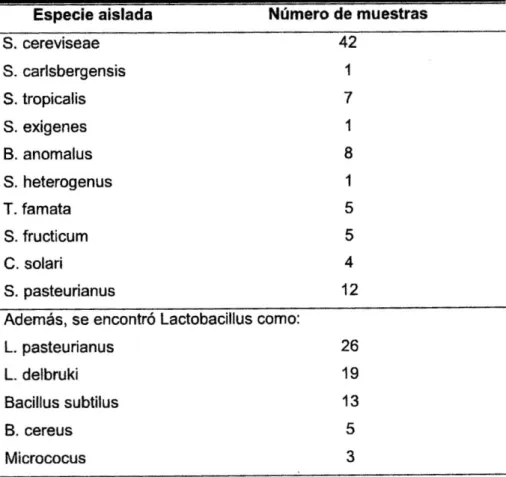 Cuadro 7: Especies microbiológicas que fueron aisladas de la chicha de jora. 