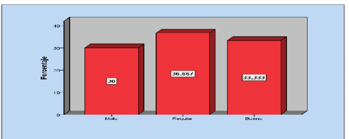 GRÁFICO N° 1 