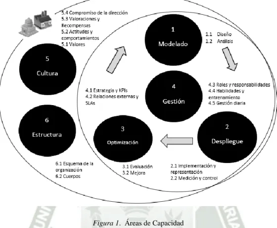 Figura 1.  Áreas de Capacidad 