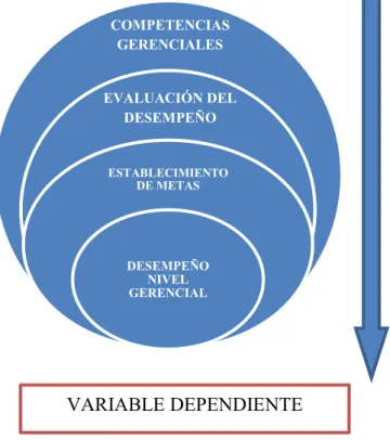 Gráfico 7. Determinación de categorías 