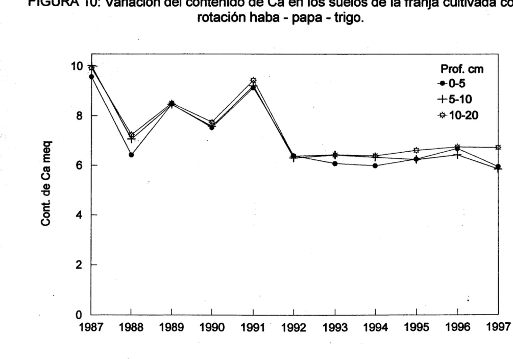 FIGURA 10: Variación del contenido de Ca en los suelos de la franja cultivada con la rotación haba - papa - trigo.