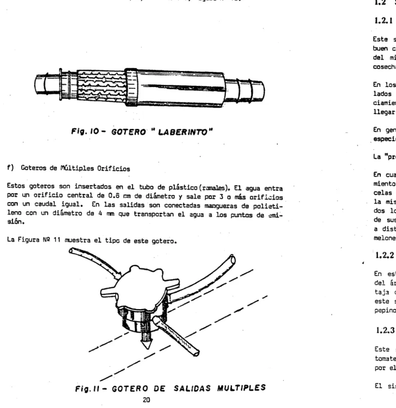 Fig. SO - GOTERO • LABERINTO"
