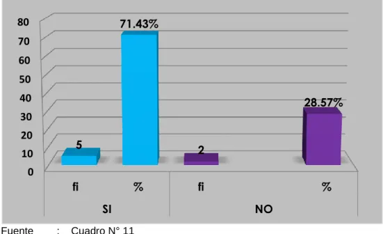 GRÁFICO N° 11 