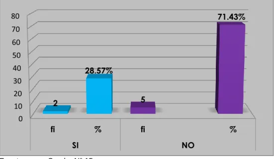 GRÁFICO N° 15 