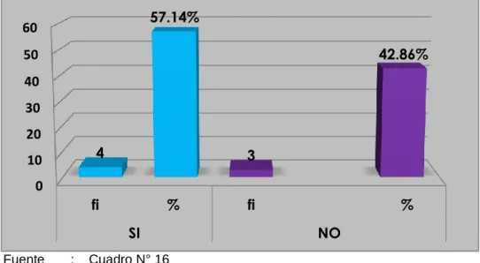 GRÁFICO N° 16 