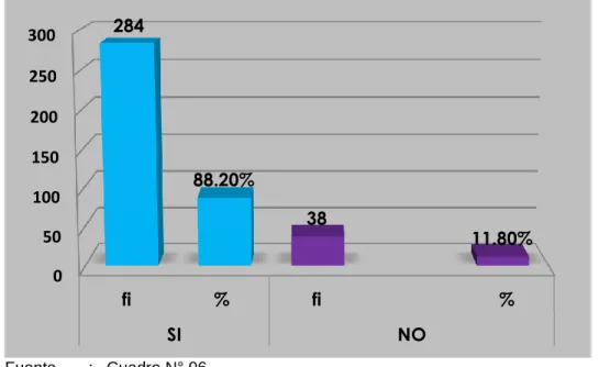 GRÁFICO N° 06 