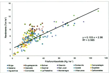 Figura 18. Correlación entre el fósforo absorbido (Kg. ha-1) y el rendimiento  (ton ha-1) de maIz para diferentes regiones de Colombia