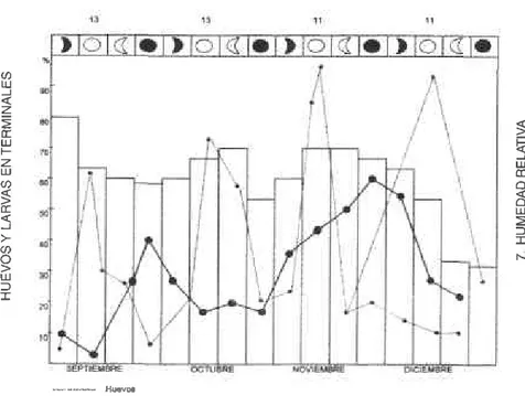 Figura  2. Estimación  de la oviposición  en la diferentes  fases  de la luna,  para  la cosecha de algodón  2000  - 2001 en los Llanos  Orientales  (Quimbayo).