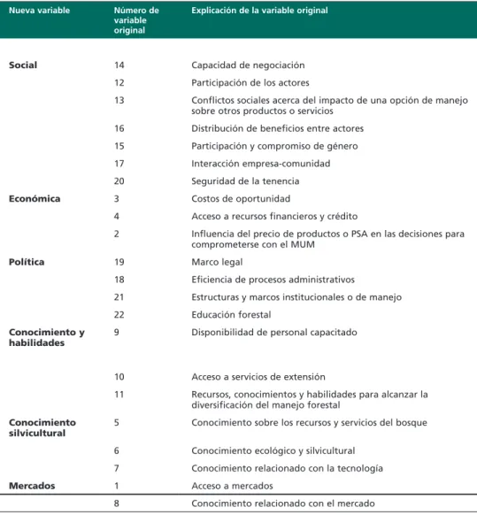 CUADRO 1. NUEVAs VARIABLEs FORmADAs CON EL FACTOR DE ANÁLIsIs nueva variable número de 