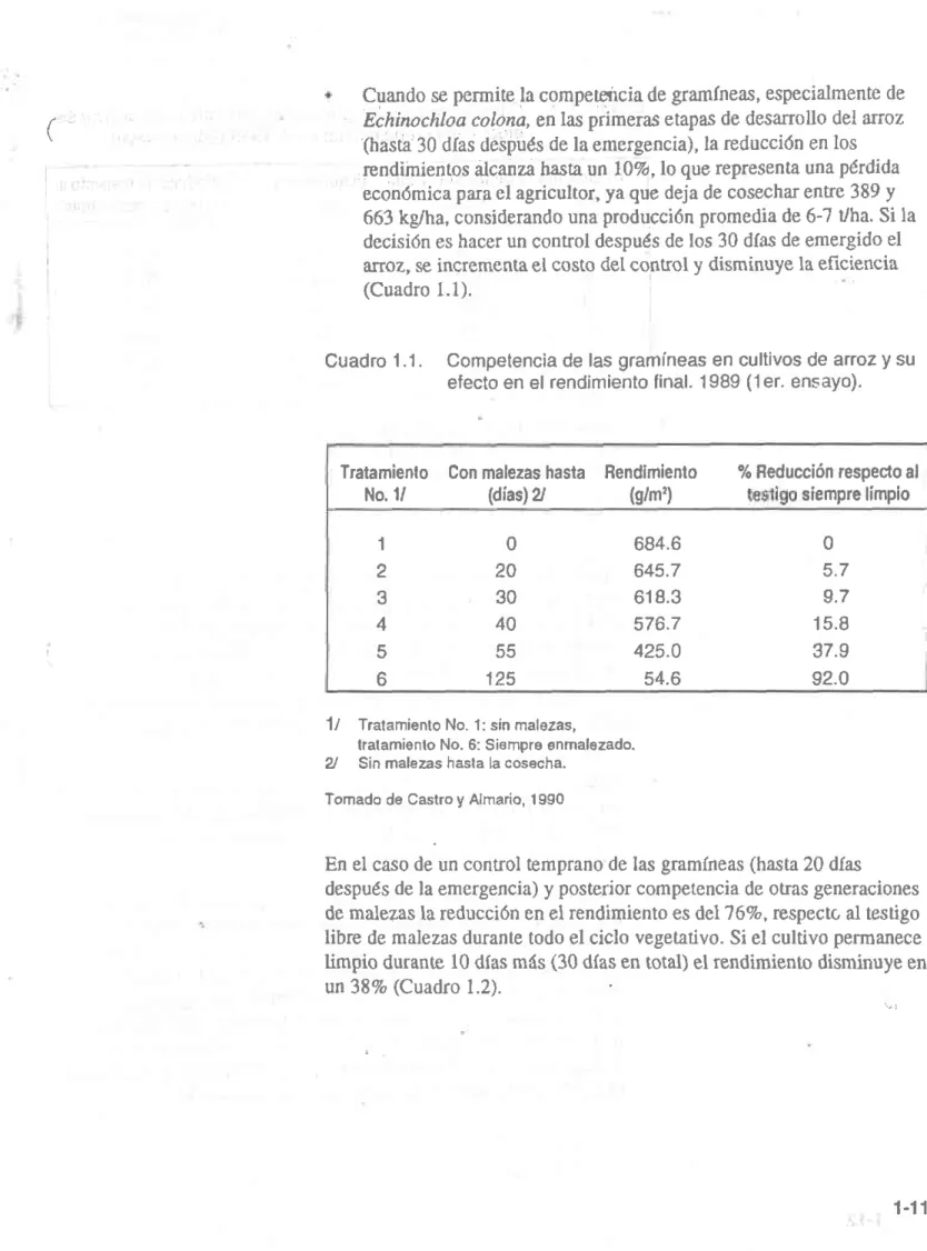 Cuadro  1.1.  Competencia  de las gramíneas  en cultivos  de arroz y su efecto  en el rendimiento  final