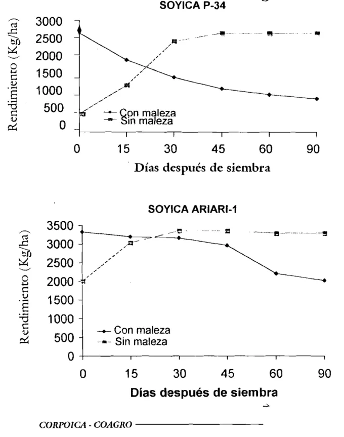 Figura 1. Efecto de la competencia de malezas sobre el rendimiento de dos variedades de soya