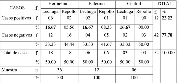 CUADRO 02: Valores de las frecuencias absolutas y relativas (%) de los casos  positivos, negativos y total de ellos, para lechuga y repollo en los tres  mercados de Trujillo, de setiembre 2006 a setiembre2007 