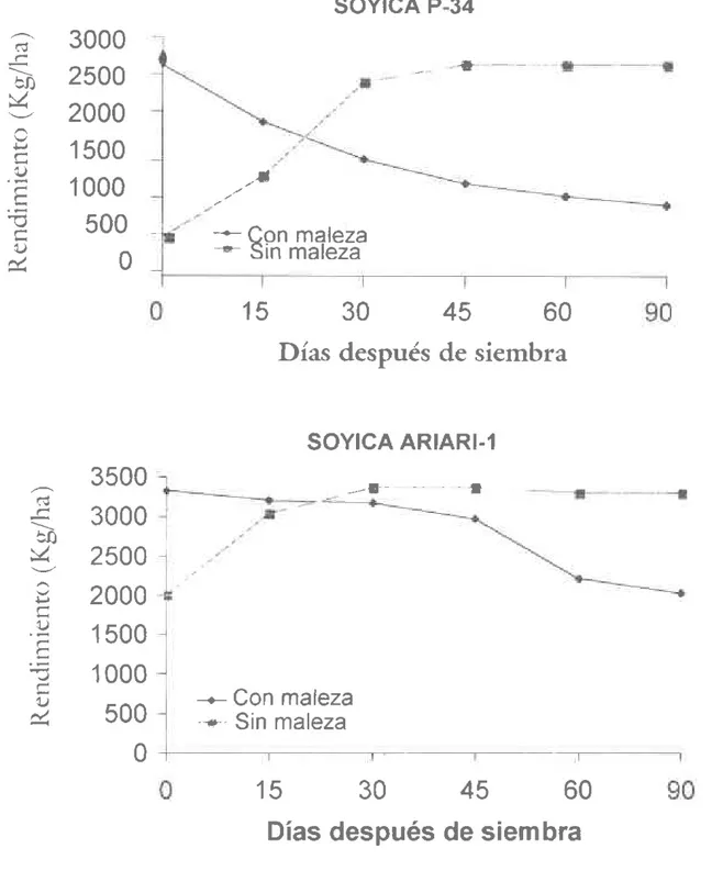 Figura 1. Efecto de la competencia de malezas sobre el rendimiento de dos variedades  de soya