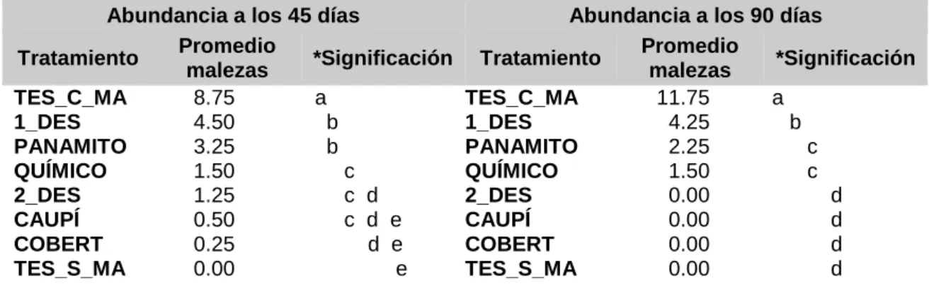 Cuadro 3.-  Abundancia de Argemone subfusiformis a los 45 y 90 días 