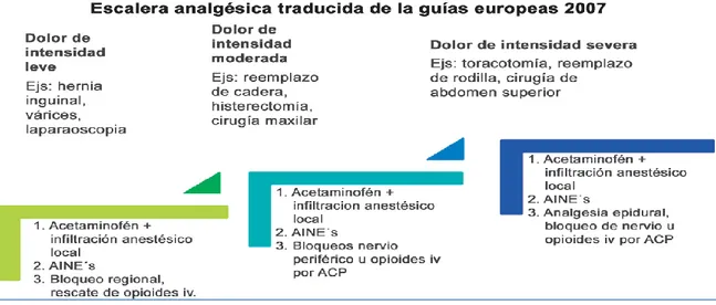 Figura Nº 03. Escalera Analgésica traducida de la guía europea-2007. 