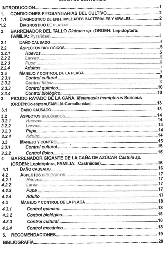 TABLA DE CONTENIDO