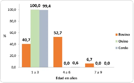 Gráfico 09. Porcentaje de animales de abasto beneficiados según edad en  años y especie del matadero Municipal de Panao - Huánuco 2015 