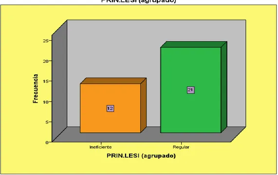 Figura 7: Representación descriptiva de la dimensión Principio de Lesividad  Fuente: Elaboración propia 