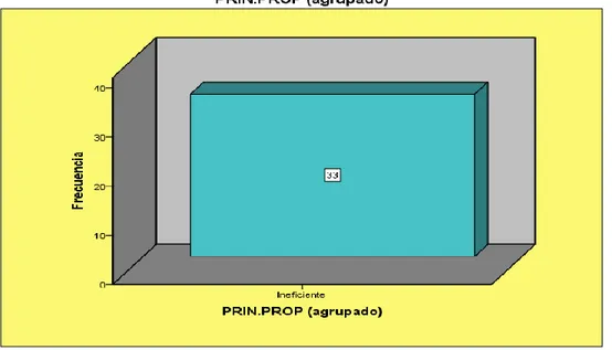 Figura 9: Representación descriptiva de la dimensión Principio de Proporcionalidad  Fuente: Elaboración propia 