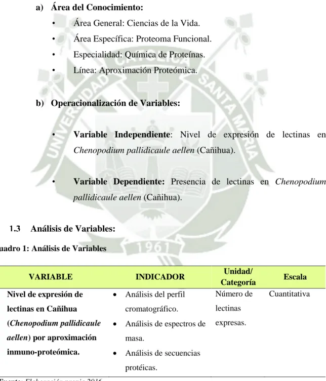 Cuadro 1: Análisis de Variables 