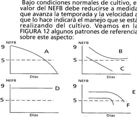 Figura 12. Patrones de la radicación del valor de NEFB