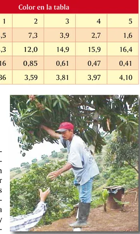 Tabla 1. Características fisicoquímicas del mango Hilacha en cada estado de madurez.