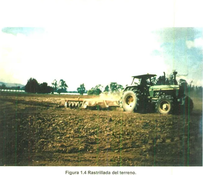 Figura 1.4 Rastrillada del terreno.