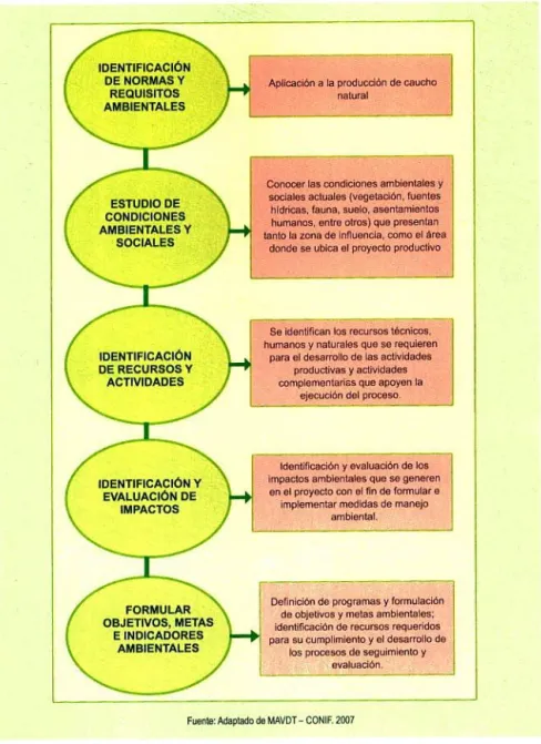 Gráfico 2. Pasos para la planeación ambiental