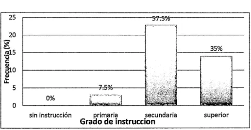 Tabla  4:  Grado  de  instrucción de  las  gestantes  que participaron del  programa 