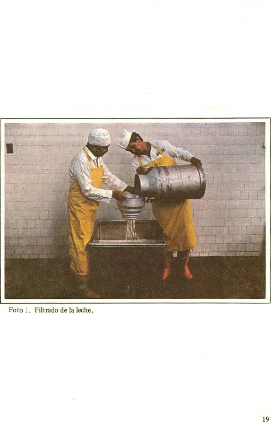 Foto 1. Filtrado de la leche.