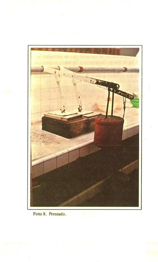 Foto 8. Prensado.