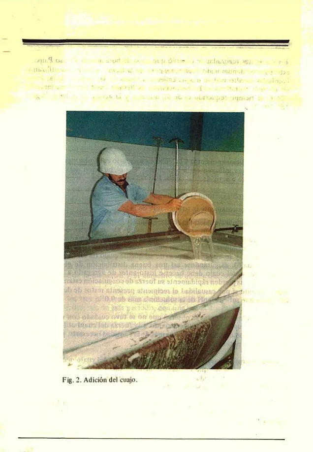Fig. 2. Adición del cuajo.
